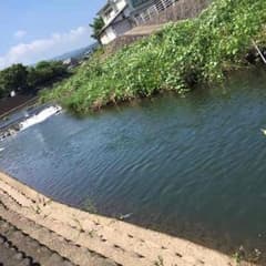 玲様専用のサムネイル