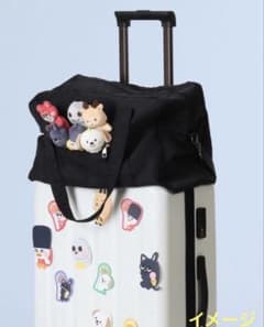 riize ボストンバッグ　ペンコン　ウォンビン　ショウタロウ　ウンソク riize ボストンバッグ ペンコン ウォンビン ショウタロウ ウンソク