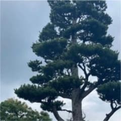 えみこ様　専用ページのサムネイル