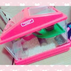ハムスターの家のサムネイル