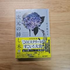一次元の挿し木 松下龍之介 文庫本のサムネイル
