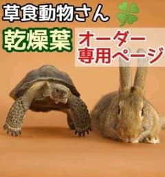 乾燥葉 乾燥野菜 ◎セミオーダーページ◎ ウサギ ハムスター リクガメ 他 乾燥葉 乾燥野菜 ◎セミオーダーページ◎ ウサギ ハムスター リクガメ