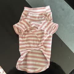 わんちゃん服のサムネイル