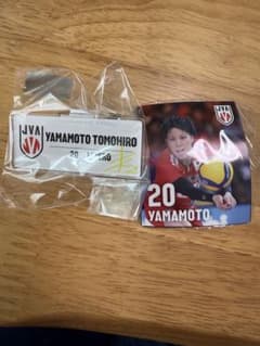 山本智大 バレーボール日本代表のサムネイル