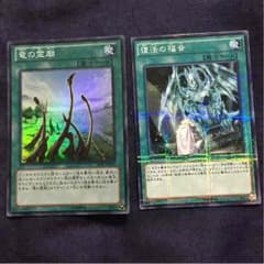遊戯王 竜の霊廟 みっみっきー様専用のサムネイル