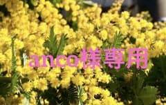 anco様専用のサムネイル