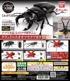いきもの大図鑑 くわがた04 ２種のサムネイル