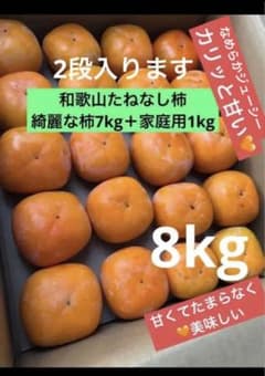柿　たねなし柿　和歌山橋本の柿8kg【エコメルカリ便限定】のサムネイル