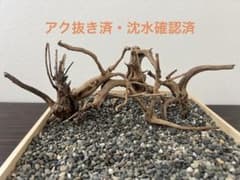 21004 ブランチウッド　流木　アクアリウム　沈水確認済 RR-428 流木 ブランチウッド アクアリウム 沈水確認済 - メルカリ