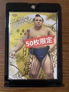 大相撲カードBBM 2026 安青錦 新大 明星 50枚限定 インサート - メルカリ