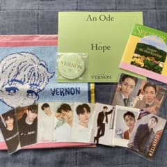 SEVENTEEN VERON 정리 판매
