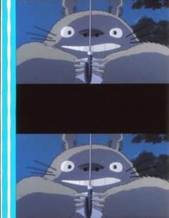 My Neighbor Totoro 35mm film, 5 frames. Director: Hayao Miyazaki. Filmed by Noriko Hidaka and Chika Sakamoto.