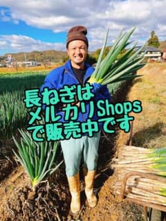 太っちゃん屋のベリうまさつまいも 島原ゴールドシルク 太っちゃん屋の