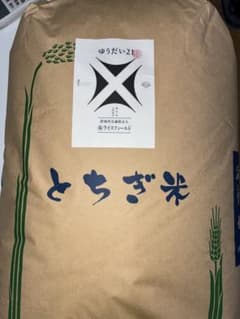 超メルカリ市限定！ゆうだい21♡栃木のお米15kg 栃木県産 ゆうだい21 玄米 - メルカリ