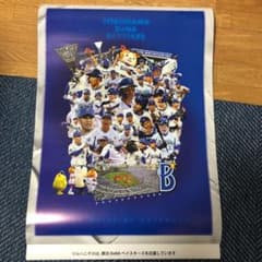 【非売品】2022年DeNAベイスターズカレンダーのサムネイル