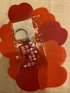 縦横無尽　熊本　地域限定キーホルダー　花びら　宮本浩次のサムネイル