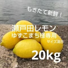 瀬戸田レモン 20kg - メルカリ