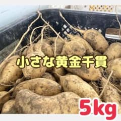 鹿児島県産さつまいも【小さな黄金千貫5kg】のサムネイル
