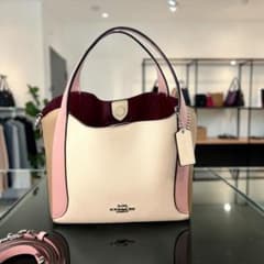 正規品＆極美品‼️ コーチ ハドリーホーボー21 ２ＷＡＹ ショルダーバッグ