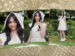 【匿名配送】野口衣織恋、はじめました 生写真コンプのサムネイル