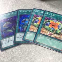 遊戯王 プレデタープランターのサムネイル