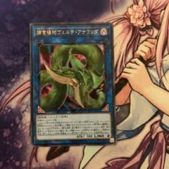 捕食植物ヴェルデ・アナコンダ武神アハシマセットのサムネイル