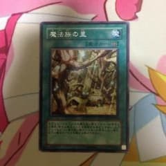 魔法族の里のサムネイル