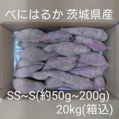 べにはるか 20kg(箱込) SS~S(約50g～200g) 茨城県産 - メルカリ