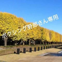 着払い送料分です。のサムネイル