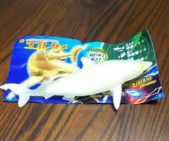 SHARK＆Co  ヨゴレザメのサムネイル