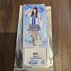 横浜DeNAベイスターズ 片山 紗希 アクリルスタンド　日向坂46 横浜DeNAベイスターズ 片山 紗希 アクリルスタンド 日向坂46 - メルカリ