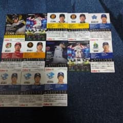 カルビー プロ野球チップス カード まとめ売りセ・リーグ 14枚セット