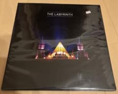 The Labyrinth,t2x17,limited500,レコード - メルカリ