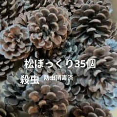 松ぼっくりリースハンドメイド用殺虫酢酸液虫対策済のサムネイル