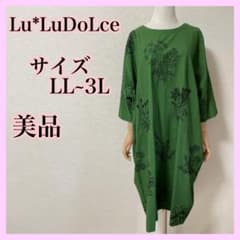 【美品】Lu*LuDoLce ボタニカル柄カットソーワンピースのサムネイル