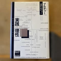 実践理性 : 行動の理論についてのサムネイル