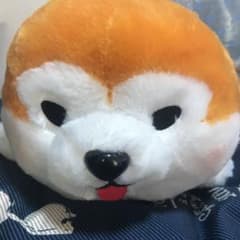 豆しば三兄弟　まさおのサムネイル