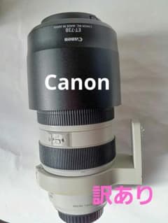 訳あり品　Canon　白レンズ　EF70-300mm  カバー　ET830Bのサムネイル
