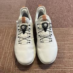 ecco スパイクレス　BIOM C4  42のサムネイル
