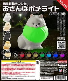 おさんぽポメライト✩︎⡱ ホワイトのサムネイル