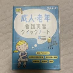 成人・老年看護実習クイックノートのサムネイル