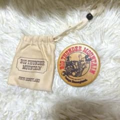 레어 빅 썬더 마운틴 코스터 레트로 디즈니랜드