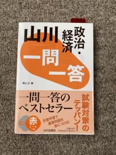 山川 一問一答政治・経済のサムネイル