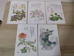 星野富弘 詩画集 絵はがき 5枚セットのサムネイル