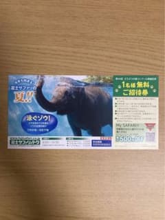 【24時間以内発送】富士サファリパーク　1名様無料ご招待券　ゆうゆうメルカリ便のサムネイル