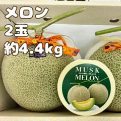 300円～ 贈答用 温室マスクメロン 高知産2玉入り 約4.4kg - メルカリ