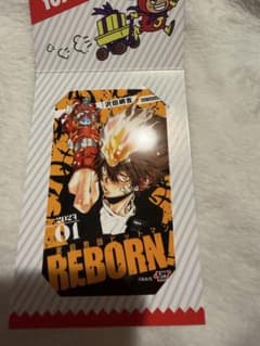 REBORN！　沢田綱吉　生ブロマイド リボーン REABORN 生ブロマイド ジャンプフェスタ2024 沢田綱吉 - メルカリ