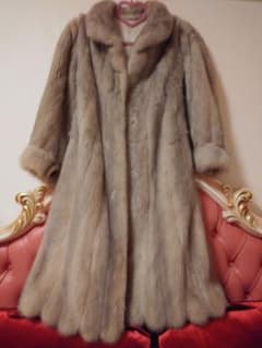 SAGA MINK ROYALのサムネイル