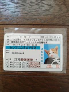 1980年代【なめ猫】みけ子　なめ猫免許証　昭和レトロのサムネイル