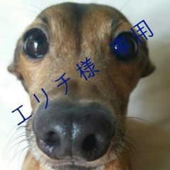 エリチ様 専用のサムネイル